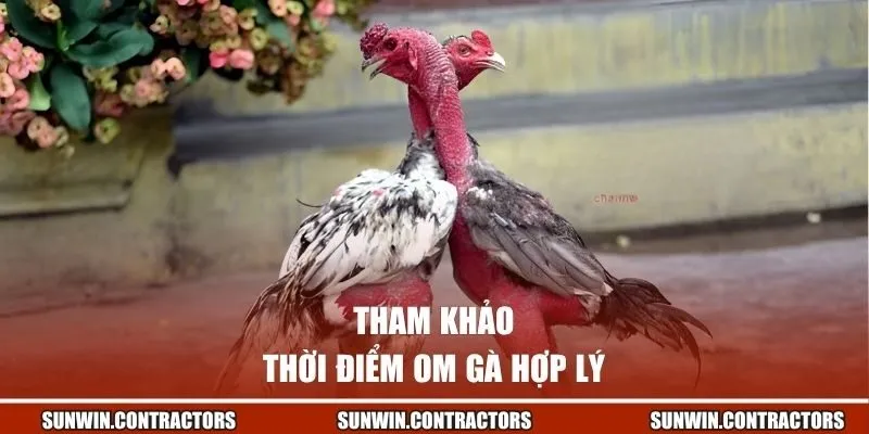 Tham khảo thời điểm om gà hợp lý